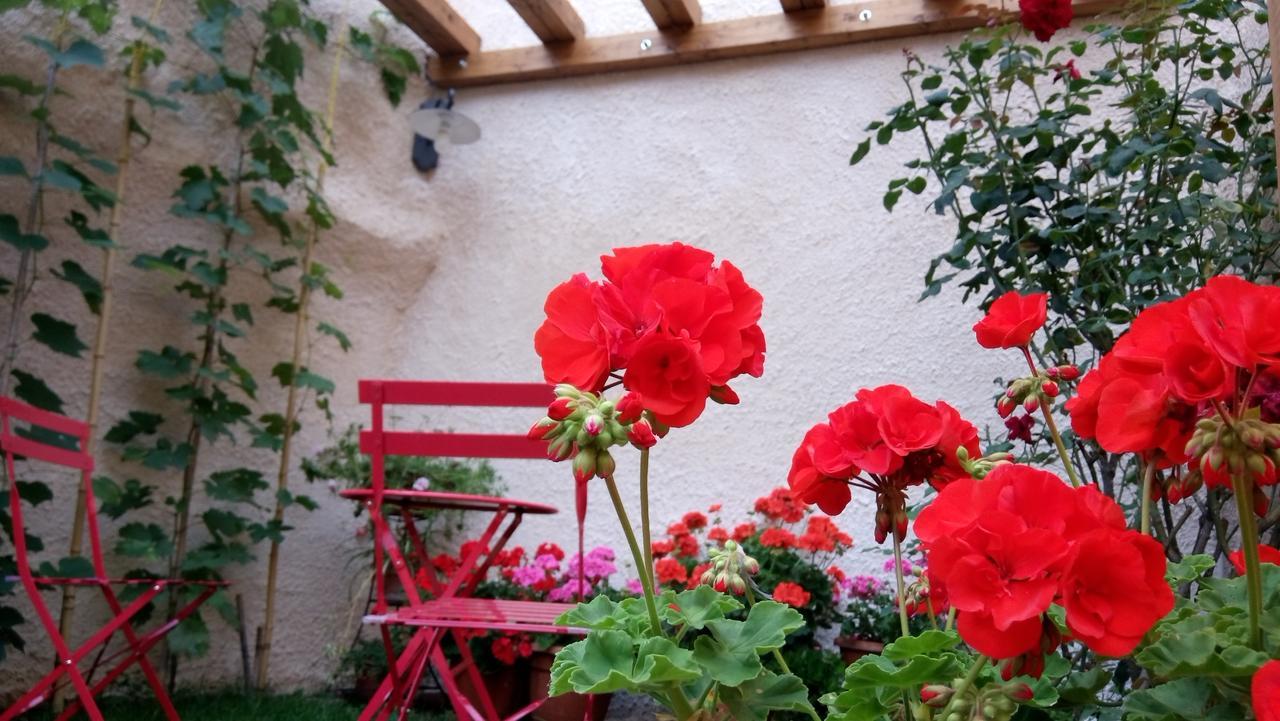 Massa d'Albe B&B A Casa Di Nonna מראה חיצוני תמונה